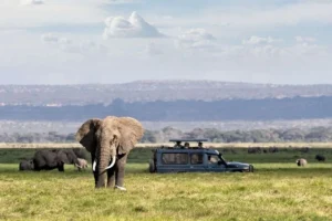 Planning Your Trip to Uganda: A Practical Visa & Travel Guide